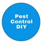 OlioBlogger Category Pest Control DIY