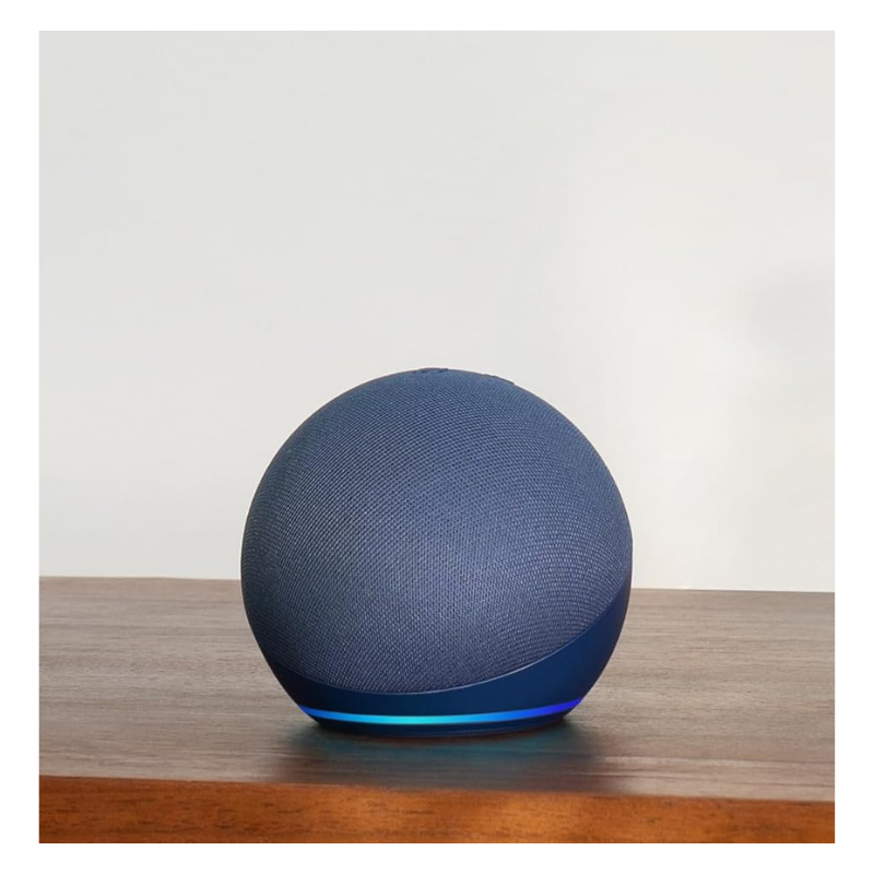 Amazon Echo Dot (newest model)