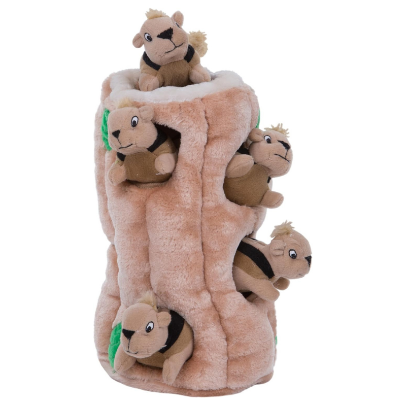 Outward Hound Hide-A-Squirrel Dog Toy
